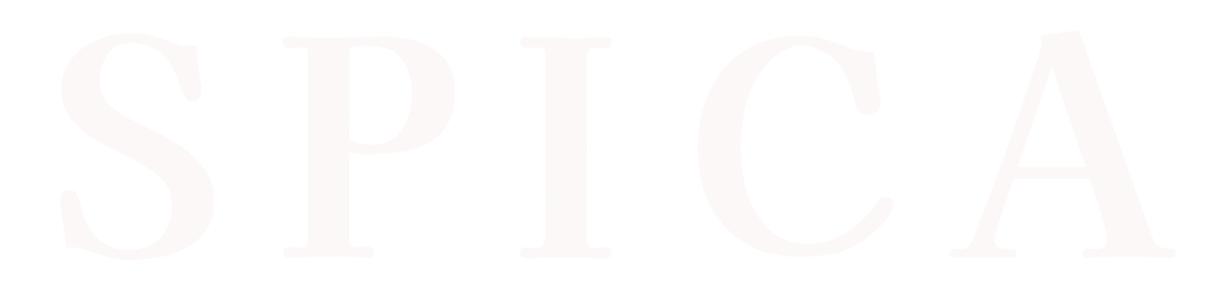 ヘッダーロゴ1102 x 269 ピクセル